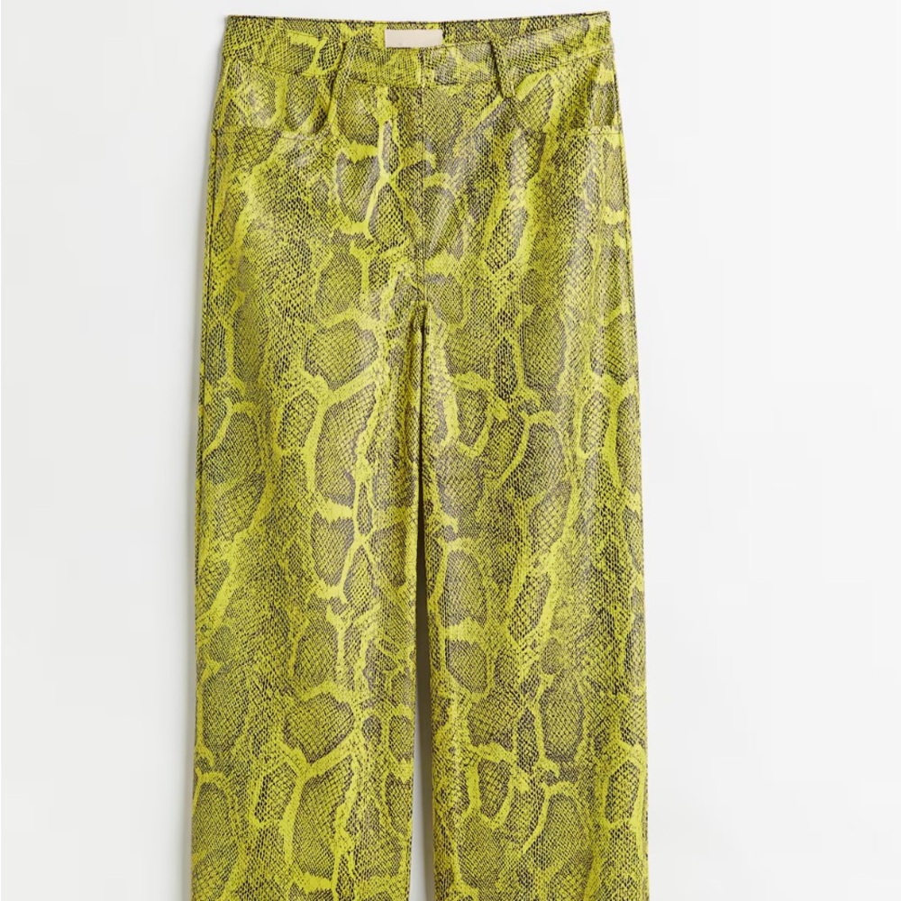 H&M Snakeskin Pants - NWT